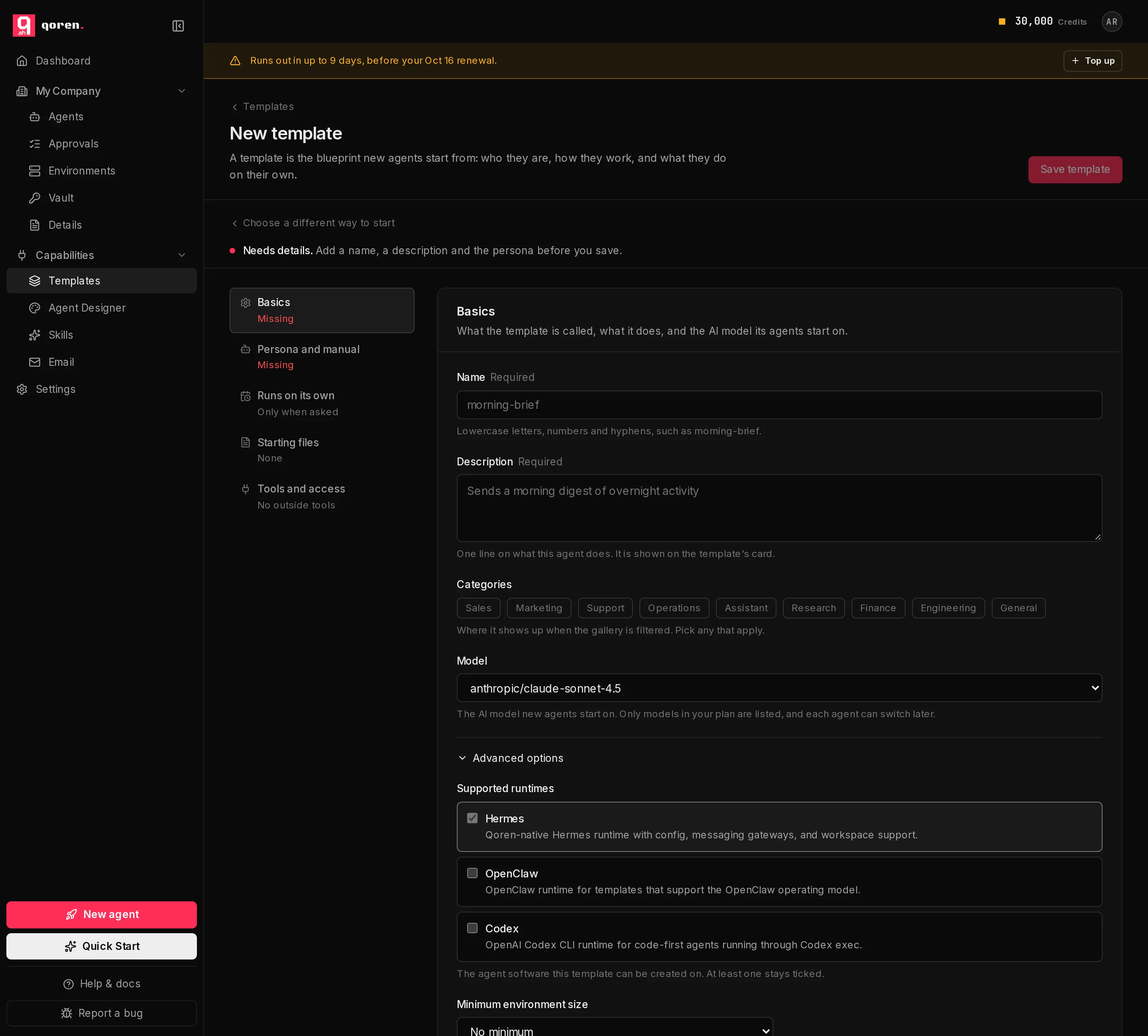 The template editor on its Basics section: a list of sections on the left, and the name, description, categories and model fields on the right, with Advanced options opened to show supported runtimes and the minimum environment size.
